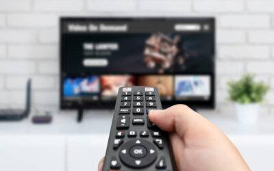 Anatomy of a Streaming Media Company Pilot