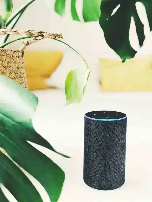 amazon-alexa-assistant-vocal_W585_Mfit