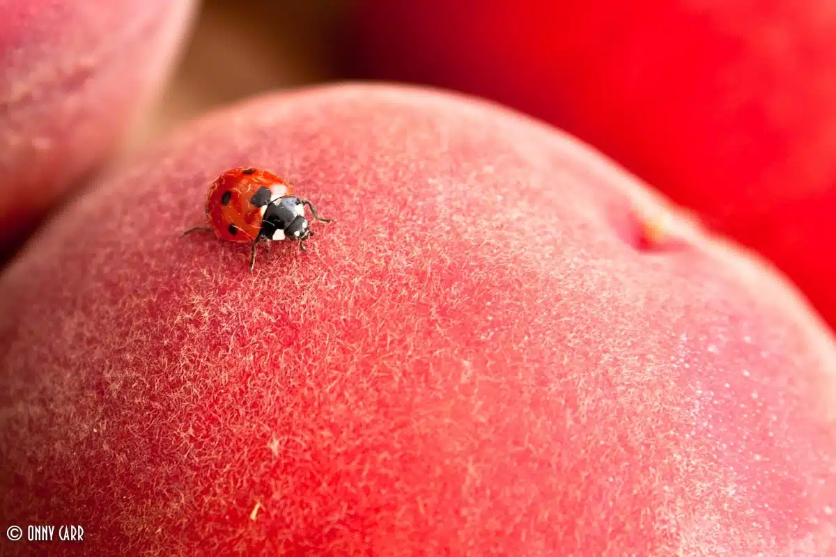 Blog - 88% Of People Will Abandon An App Because Of Bugs Blog - 88% Of People Will Abandon An App Because Of Bugs