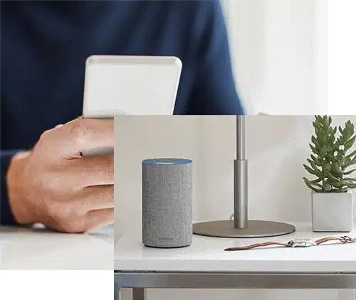 testing-for-alexa-collage-v1_W585_Mfit