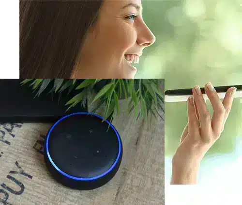 testing-for-alexa-collage-v2_W585_Mfit