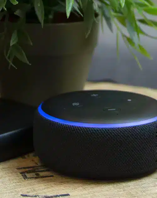 testing-for-alexa-side-img_W585_Mfit